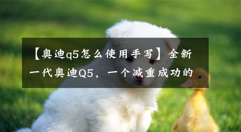 【奥迪q5怎么使用手写】全新一代奥迪Q5,一个减重成功的灵活胖子?