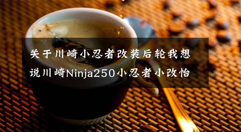 关于川崎小忍者改装后轮我想说川崎Ninja250小忍者小改怡情