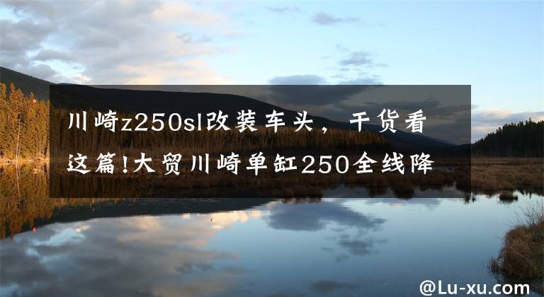 川崎z250sl改装车头,干货看这篇!大贸川崎单缸250全线降价!Z250SL跌破三万!