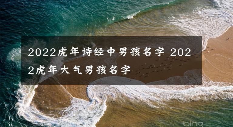 2022虎年诗经中男孩名字 2022虎年大气男孩名字