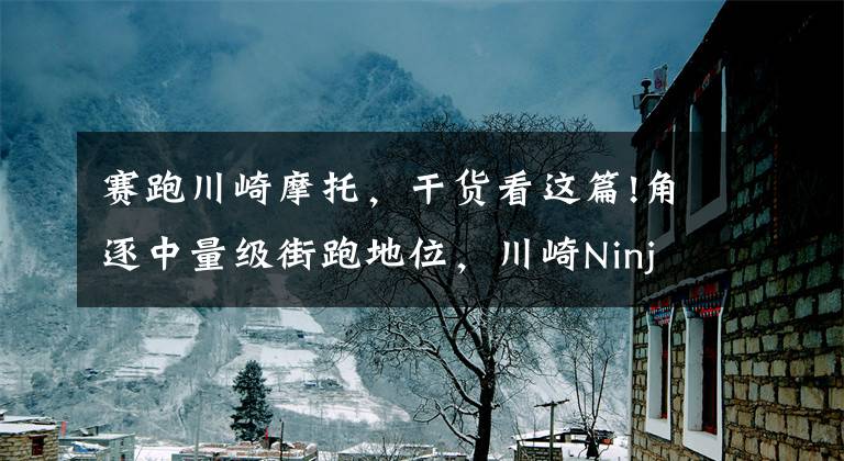 赛跑川崎摩托,干货看这篇!角逐中量级街跑地位,川崎Ninja 700 R摩托曝光