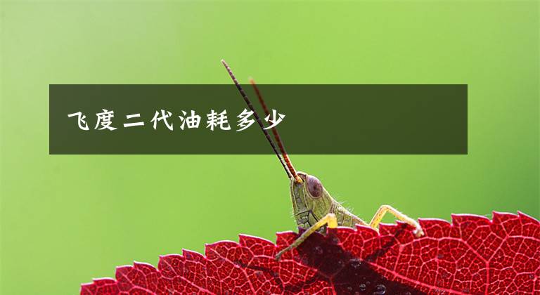飞度二代油耗多少