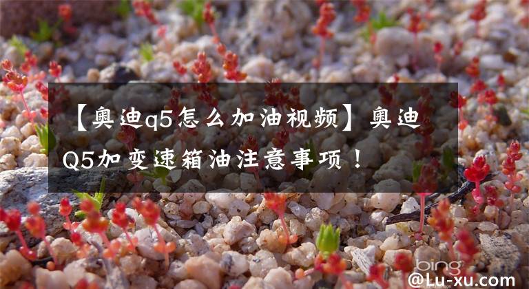 【奥迪q5怎么加油视频】奥迪Q5加变速箱油注意事项!