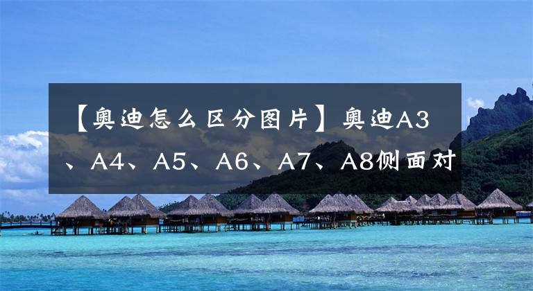 【奥迪怎么区分图片】奥迪A3、A4、A5、A6、A7、A8侧面对照图
