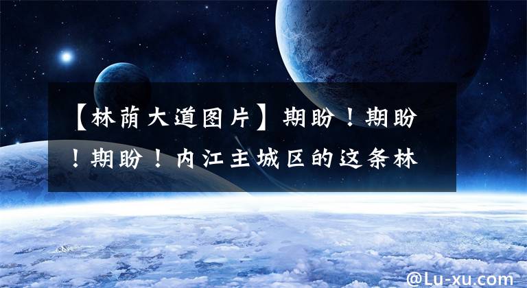 【林荫大道图片】期盼！期盼！期盼！内江主城区的这条林荫道下个月将亮相！