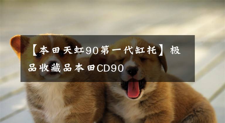 【本田天虹90第一代缸托】极品收藏品本田CD90