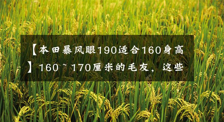 【本田暴风眼190适合160身高】160 ~ 170厘米的毛友,这些车,你选择了谁作为小情人?