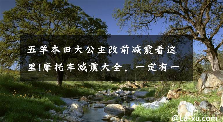 五羊本田大公主改前减震看这里!摩托车减震大全,一定有一种你没见过!