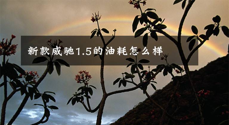 新款威驰1.5的油耗怎么样