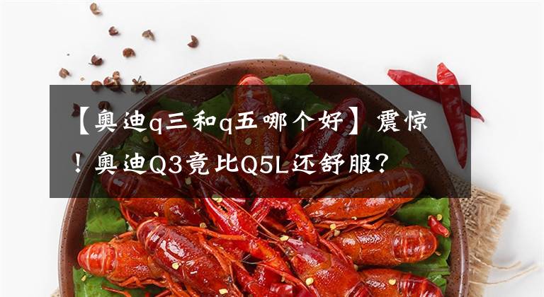 【奥迪q三和q五哪个好】震惊！奥迪Q3竟比Q5L还舒服？