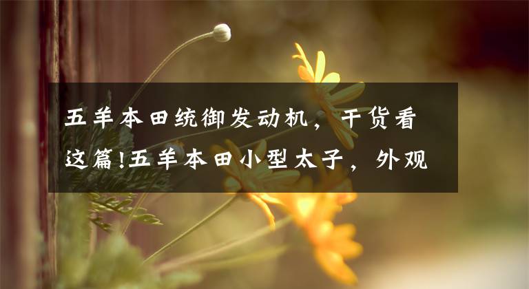 五羊本田统御发动机,干货看这篇!五羊本田小型太子,外观漂亮,还能拉货,仅售8000元