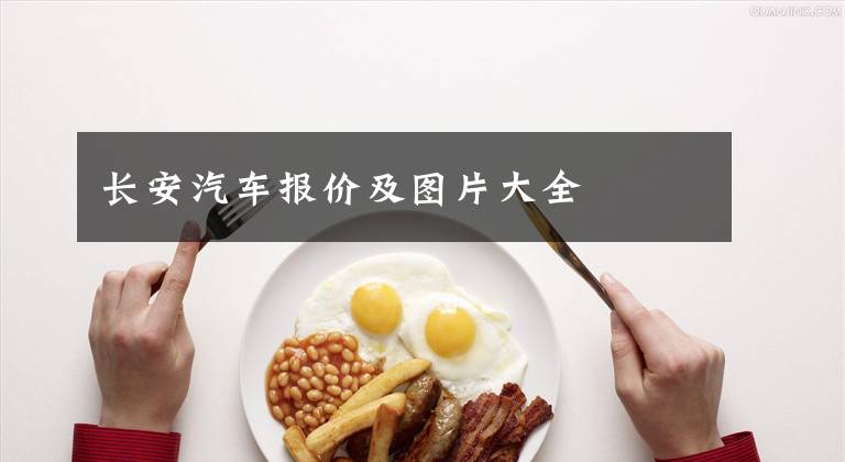 长安汽车报价及图片大全