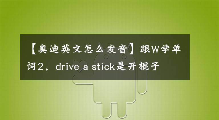 【奥迪英文怎么发音】跟W学单词2，drive a stick是开棍子吗？各种车型英文对照
