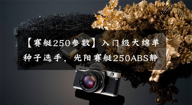 【赛艇250参数】入门级大绵羊种子选手,光阳赛艇250ABS静态体验