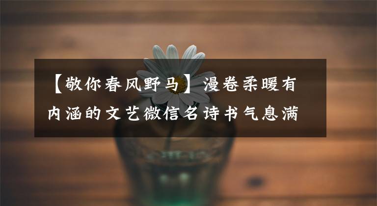 【敬你春风野马】漫卷柔暖有内涵的文艺微信名诗书气息满分-可爱点