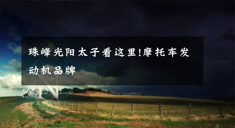 珠峰光阳太子看这里!摩托车发动机品牌