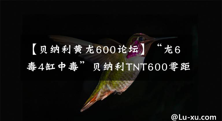 【贝纳利黄龙600论坛】“龙6毒4缸中毒”贝纳利TNT600零距离接触