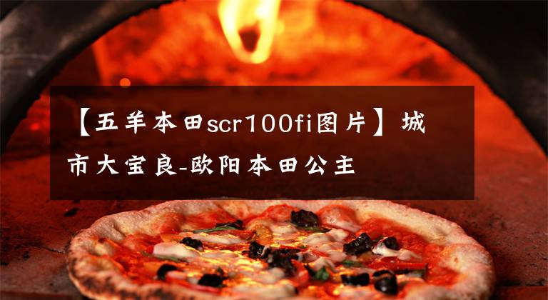 【五羊本田scr100fi图片】城市大宝良-欧阳本田公主