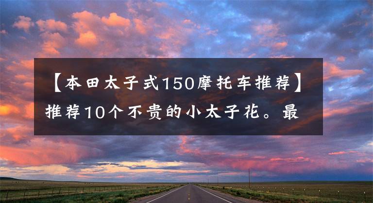 【本田太子式150摩托车推荐】推荐10个不贵的小太子花。最便宜的是5000