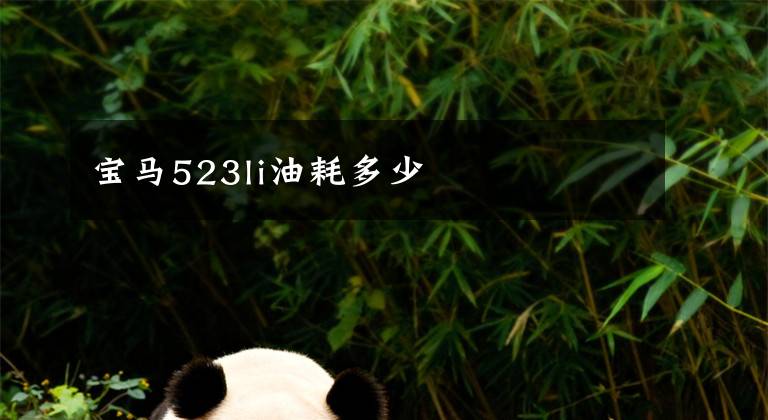 宝马523li油耗多少