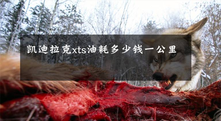 凯迪拉克xts油耗多少钱一公里