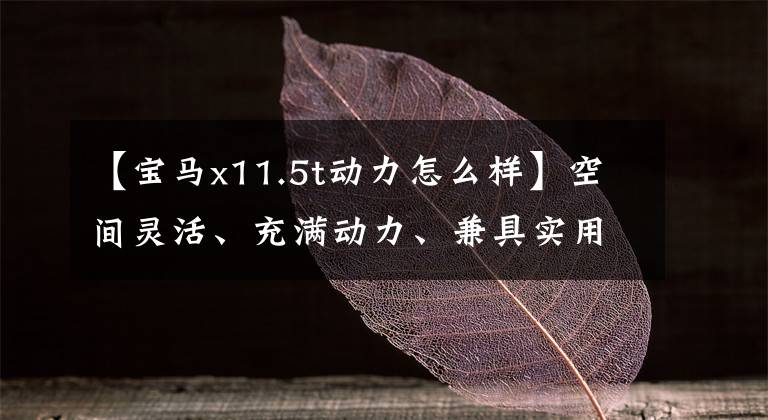 【宝马x11.5t动力怎么样】空间灵活、充满动力、兼具实用性的宝马X1哪个值得选择?