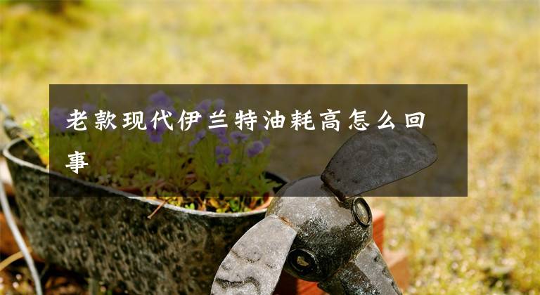 老款现代伊兰特油耗高怎么回事