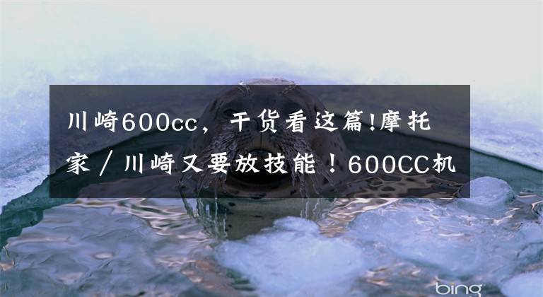 川崎600cc，干货看这篇!摩托家／川崎又要放技能！600CC机械增压仿赛车款R2
