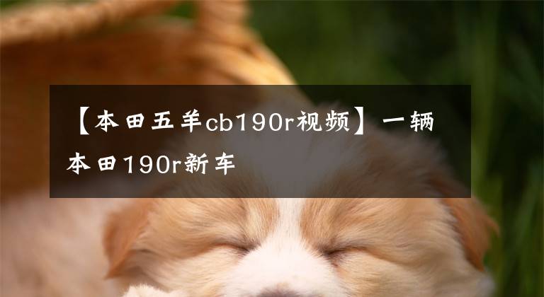 【本田五羊cb190r视频】一辆本田190r新车
