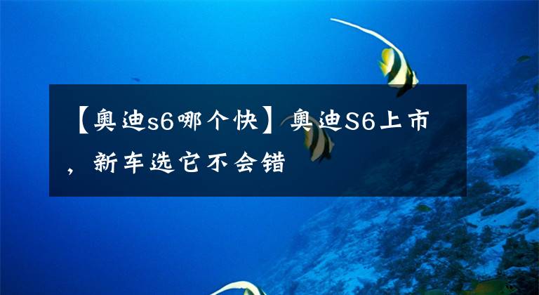 【奥迪s6哪个快】奥迪S6上市，新车选它不会错