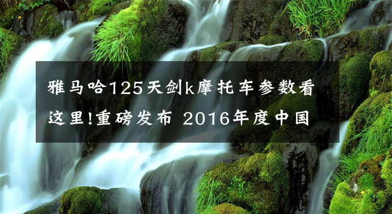雅马哈125天剑k摩托车参数看这里!重磅发布 2016年度中国十佳摩托车