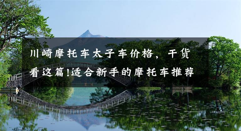 川崎摩托车太子车价格,干货看这篇!适合新手的摩托车推荐——太子篇,价格从万元内到七八万不等