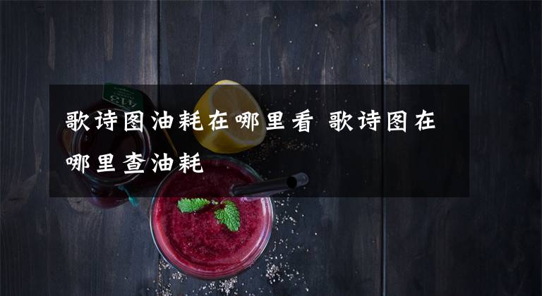 歌诗图油耗在哪里看 歌诗图在哪里查油耗