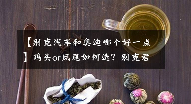 【别克汽车和奥迪哪个好一点】鸡头or凤尾如何选?别克君越对比奥迪A4L