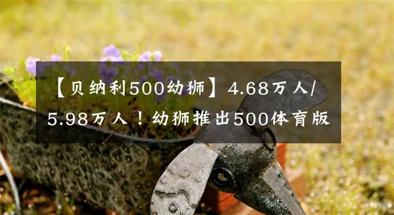 【贝纳利500幼狮】4.68万人/5.98万人!幼狮推出500体育版/800越野版