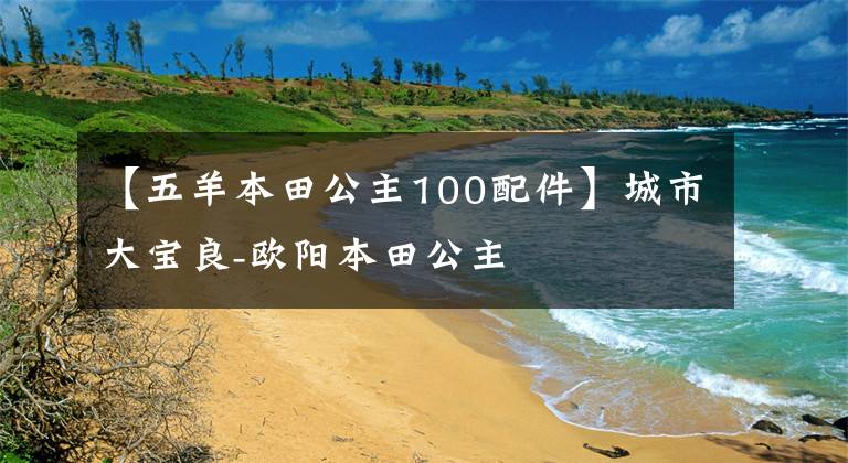 【五羊本田公主100配件】城市大宝良-欧阳本田公主