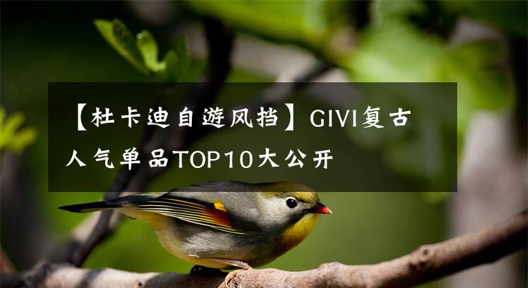 【杜卡迪自游风挡】GIVI复古人气单品TOP10大公开