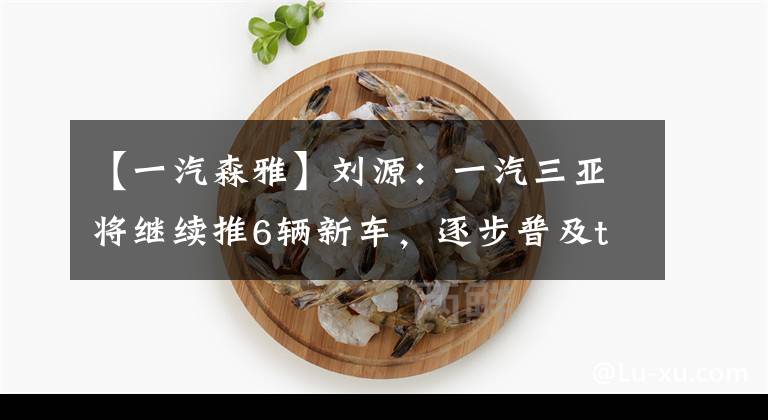 【一汽森雅】刘源：一汽三亚将继续推6辆新车，逐步普及t动力