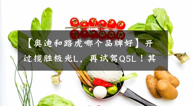 【奥迪和路虎哪个品牌好】开过揽胜极光L，再试驾Q5L！其实，路虎和奥迪的差距很明显