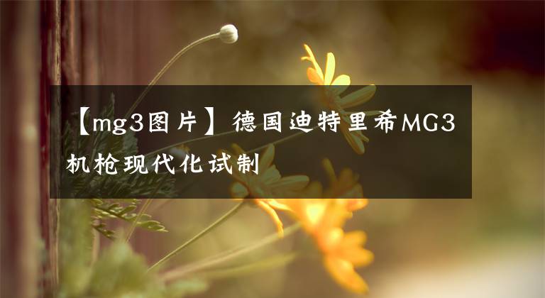 【mg3图片】德国迪特里希MG3机枪现代化试制