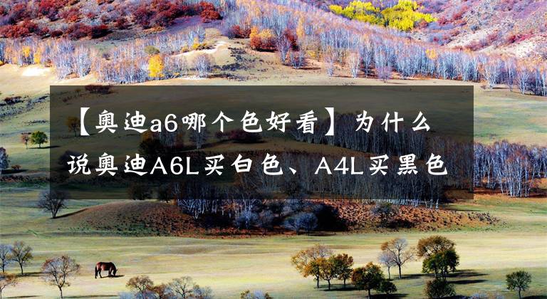 【奥迪a6哪个色好看】为什么说奥迪A6L买白色、A4L买黑色的是狠人？