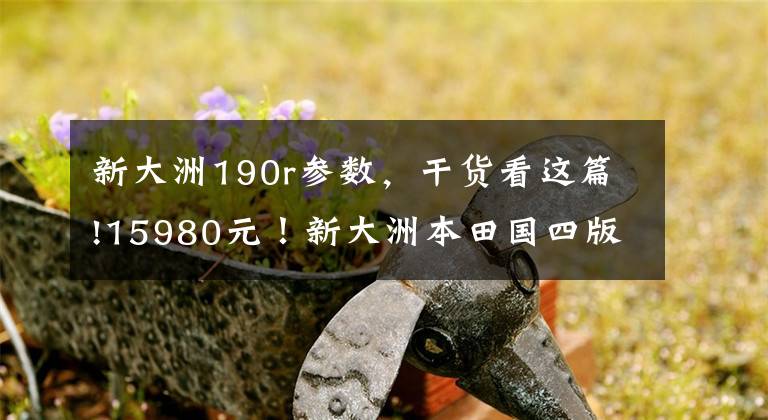 新大洲190r参数，干货看这篇!15980元！新大洲本田国四版CBF190R 火爆预售中！