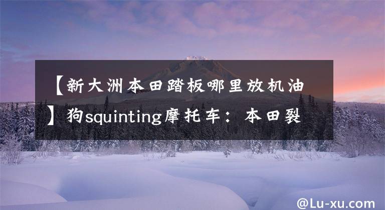 【新大洲本田踏板哪里放机油】狗squinting摩托车:本田裂纹6个月使用报告
