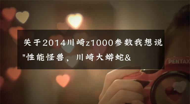 关于2014川崎z1000参数我想说"性能怪兽，川崎大蟒蛇"——川崎 Z1000