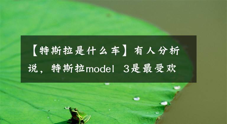 【特斯拉是什么车】有人分析说,特斯拉model 3是最受欢迎的豪华轿车车型