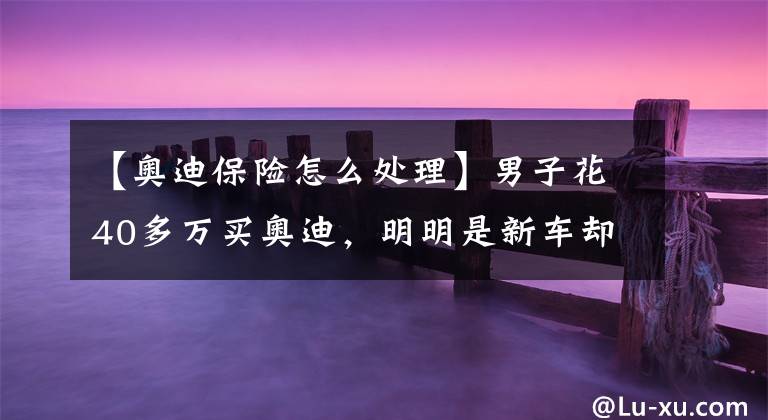 【奥迪保险怎么处理】男子花40多万买奥迪，明明是新车却出过保险，一番操作获赔113万