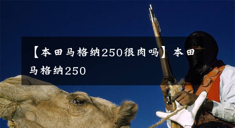 【本田马格纳250很肉吗】本田马格纳250