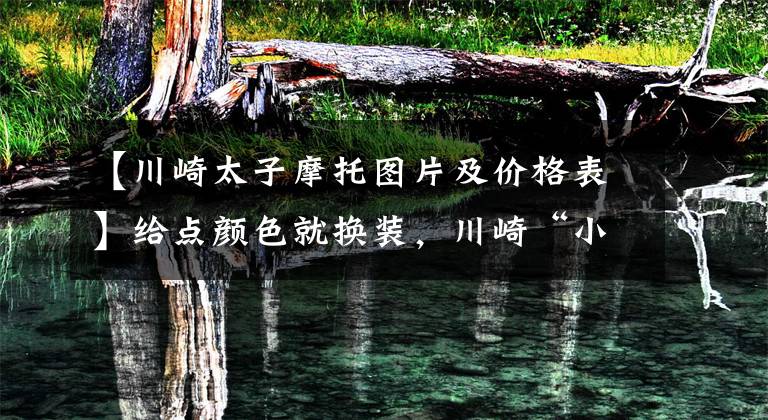 【川崎太子摩托图片及价格表】给点颜色就换装，川崎“小火神”650有新配色了，就看你喜不喜欢