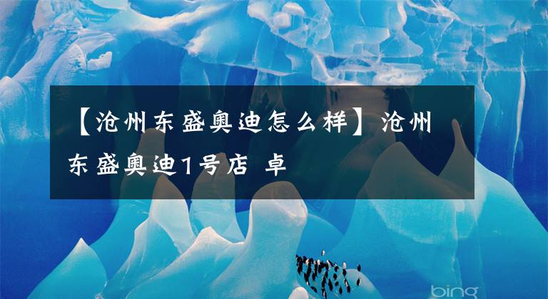 【沧州东盛奥迪怎么样】沧州东盛奥迪1号店 卓