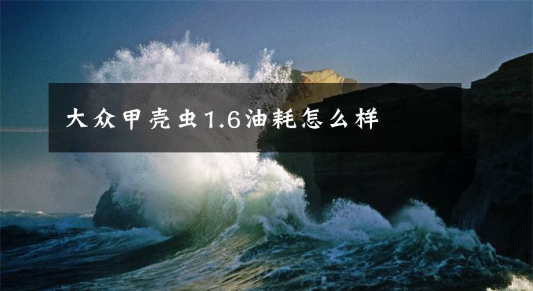 大众甲壳虫1.6油耗怎么样